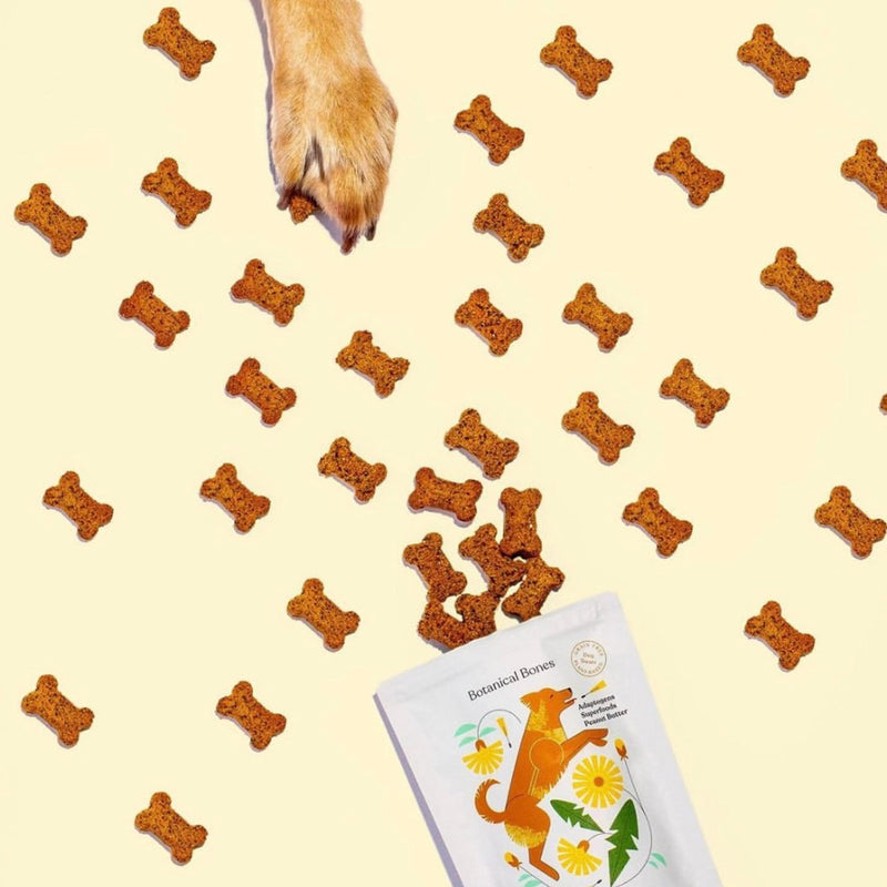 Inner Glow Digestive Dog Treats - Gut Health Support with Prebiotics, Dandelion & Chaga - Vet Formulated for Diarrhea Relief & Immune Support - Organic, Vegan, 2-Pack Inner Glow 4 Ounce (Pack of 2)