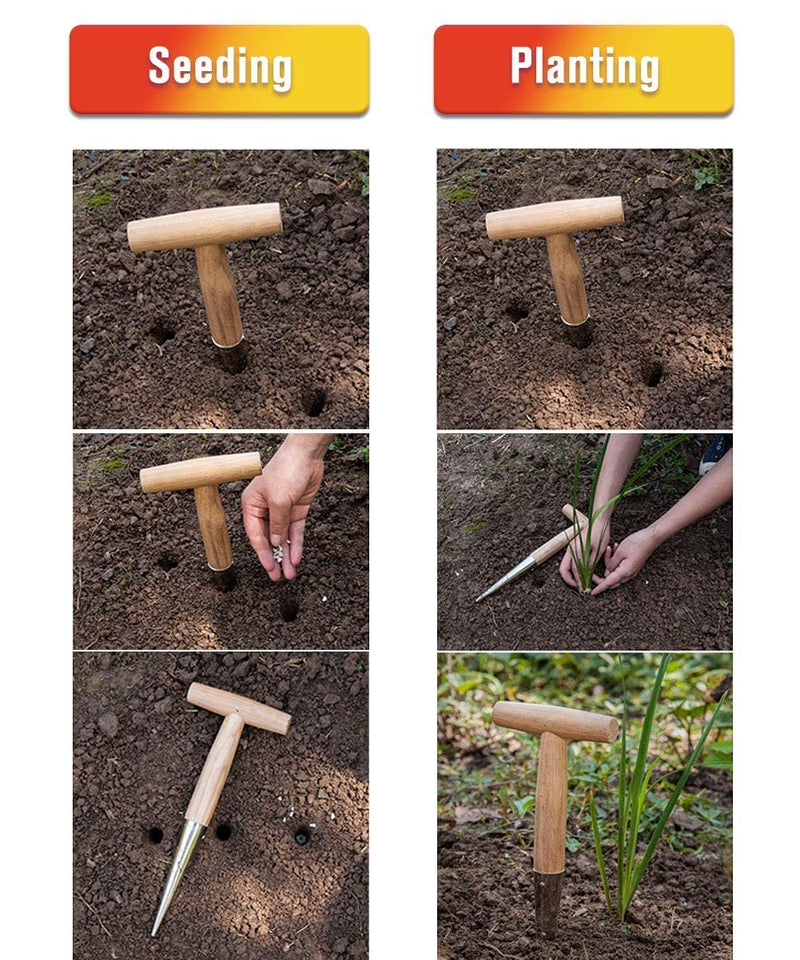 Gardtech Hand Dibber with Wooden Handle, Chrome Coated Stainless Steel Head - Lightweight Sturdy Hand Held Bulb Planter for Tulip Daffodil Crocus Garden Tool (Dibber)