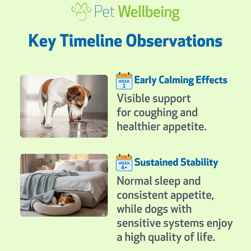 Pet Wellbeing Slippery Elm for Dogs - Vet-Formulated Dual Digestive & Throat Support - Organic Single Herb Extract - Holistic Soothing Dog Supplement - Liquid Formula 2 oz (59ml)