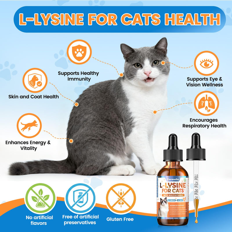 Cat Hairball Support Chews – 500 Hairball Treats L-Lysine Supplement for Cats - Immune & Respiratory Support