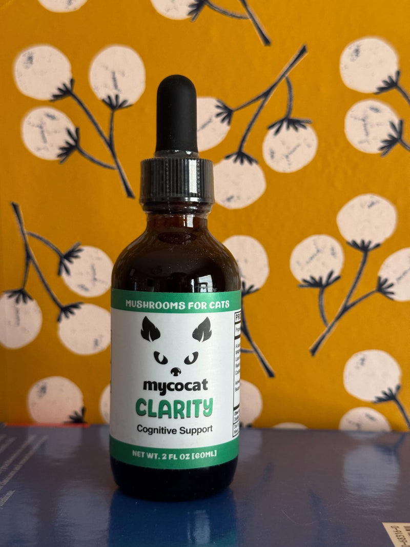 MycoCat Clarity - Cat Calming & Cognitive Support Supplement with Functional Mushrooms & Adaptogens - Brain Health, & Senior Feline Wellness - for Memory & Focus - 2 oz
