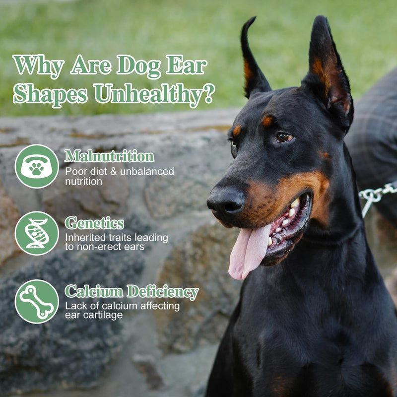 1Set Dog Ear Stand Up Support Tool for Puppies Includes Ear Support Tape Vertical Holder for Dog Ears for Doberman and Breeds Pet Ear Care Supply - PawsPlanet Australia