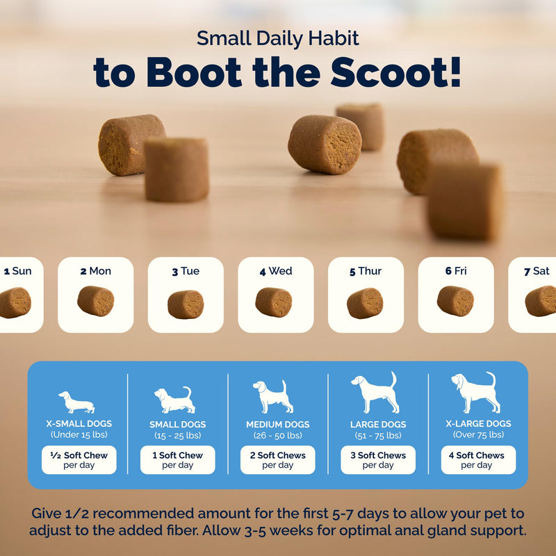 Vetnique Glandex Anal Gland Soft Chew Treats with Pumpkin for Dogs Digestive Enzymes, Probiotics Fiber Supplement for Dogs Boot the Scoot (30ct, Peanut Butter Chews) 30ct
