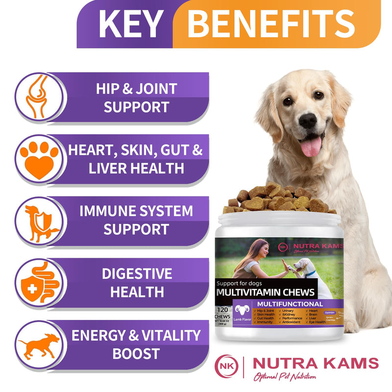 Multivitamin Chews for Dogs, 120 Chews | Supports Growth, Hip & Joint, Skin and Gut Health, Immunity, Urinary and Kidney, Heart, Brain, Liver, Eyes, Antioxidants