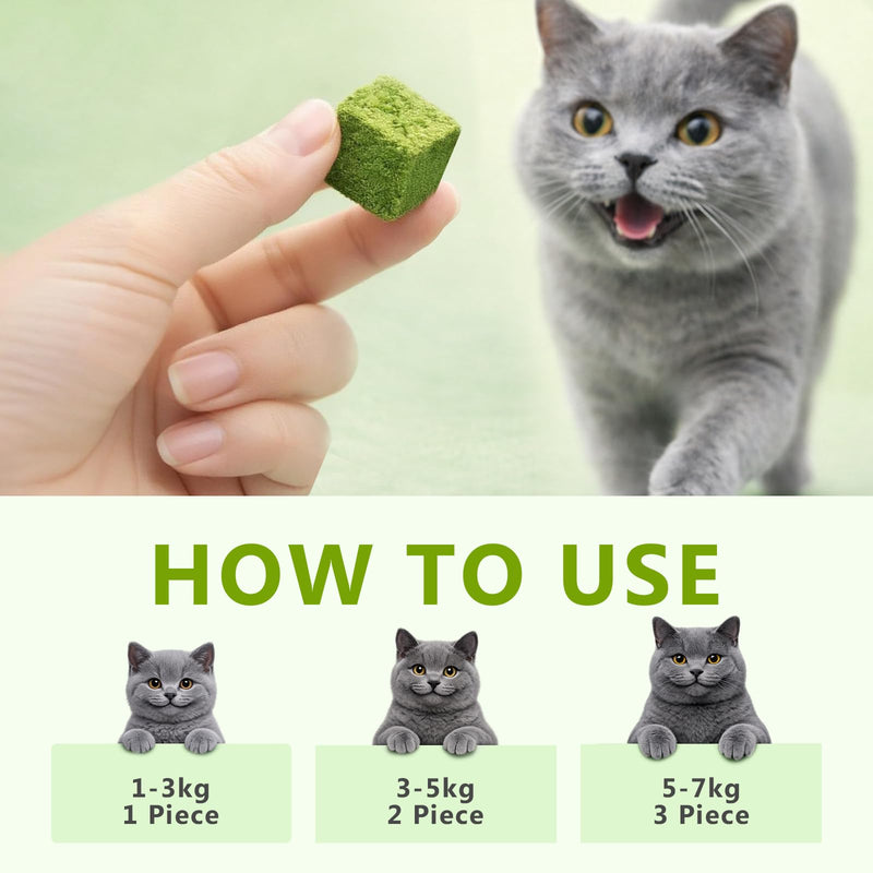 Cat Grass Treats for Indoor Cats - Freeze Dried Cat Grass Crunchy Snacks for Hairball Control and Digestive Support - Natural Kitty Grass Supplement - 4.23 oz 4.23 Ounce (Pack of 1)