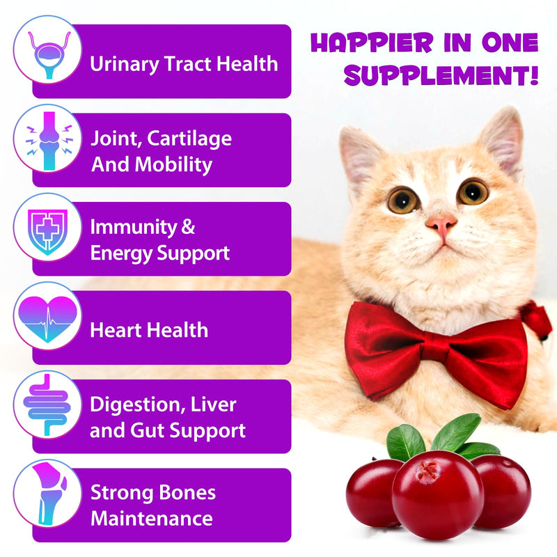 Cat Multivitamin,15 in 1 Cat Vitamins and Supplements, cat Vitamins for Indoor Cats, Liquid Drops for Heart Health, Bones, Joint, Skin & Coat, Immune System Support 60ml 2 fl.oz