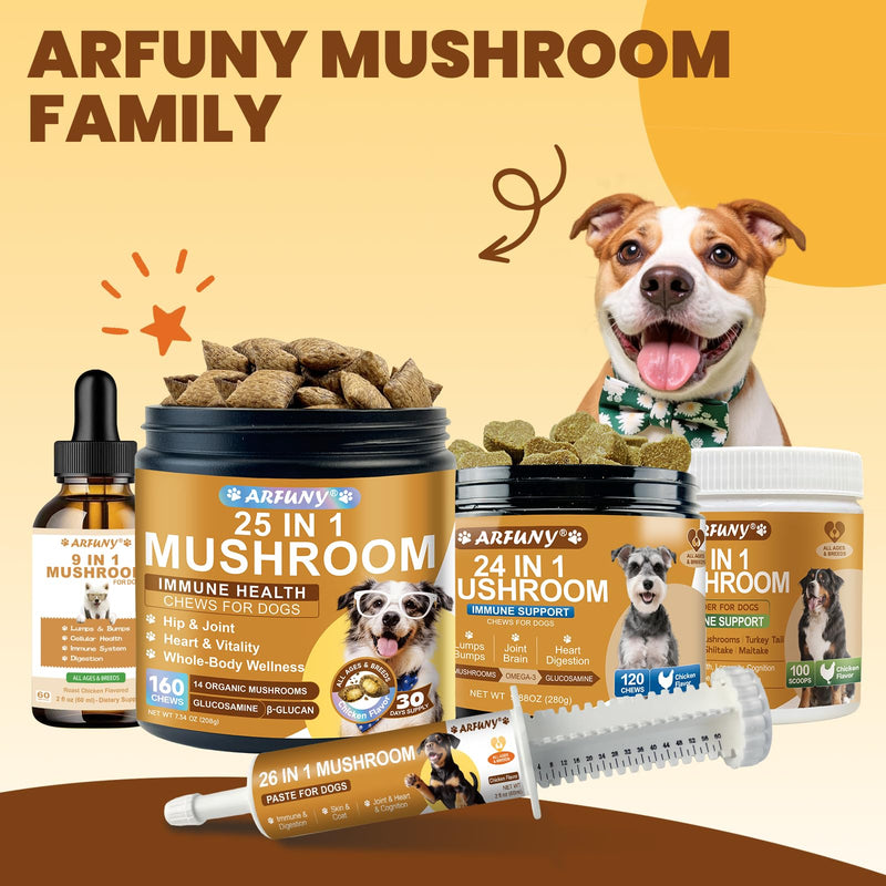 Mushrooms for Dogs - Turkey Tail Mushroom for Dogs Lumps and Bumps, Immune System, Digestion, Skin, Energy, Joint- 13 Mushrooms Turkey Tail, Chaga, Reishi, Lion's Mane - 60ML, Chicken Flavor