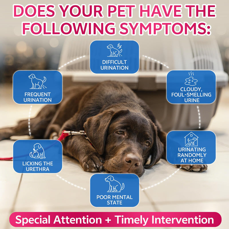 Cat Flea and Tick Prevention Soft Chews + Cat & Dog Urinary Tract Infection Treatment with Cranberry, Dual-Action Natural Wellness