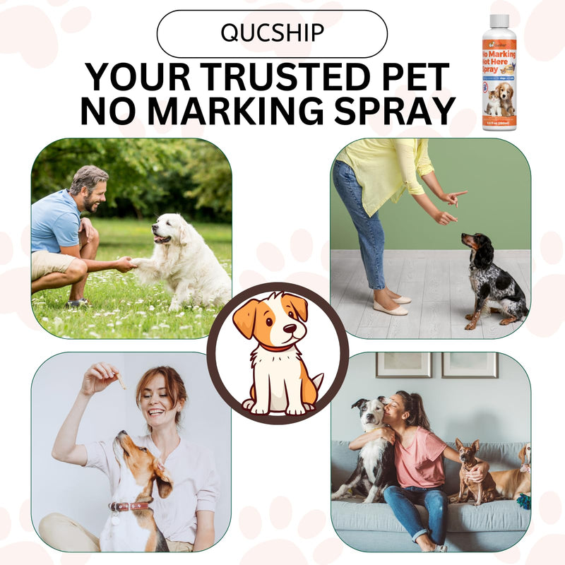 8oz Stop Your Dog's Urine Marking in the House with This Spray - No Pee Spray for Dogs Inside - Indoor Dog No Marking Spray - Best Don't Pee Here Dogs Right 8.0 Fl Oz
