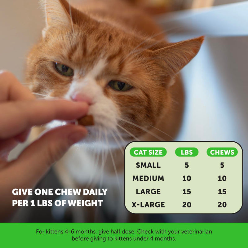Cat Urinary & Daily Health Virtual Bundle – Urinary Tract Health Chews + Multivitamin Chews, 30 Day Supply Each