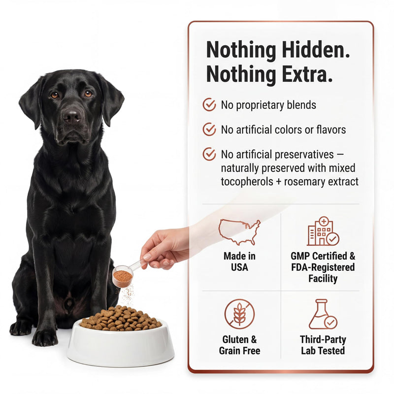 Kopo Dog Multivitamin Powder | Supports Heart, Daily Vitality, Immune Health, Digestion, Skin & Coat and Hip & Joint | for Puppy, Adult & Senior Dogs | Beef Liver Flavor | All Breeds Sizes