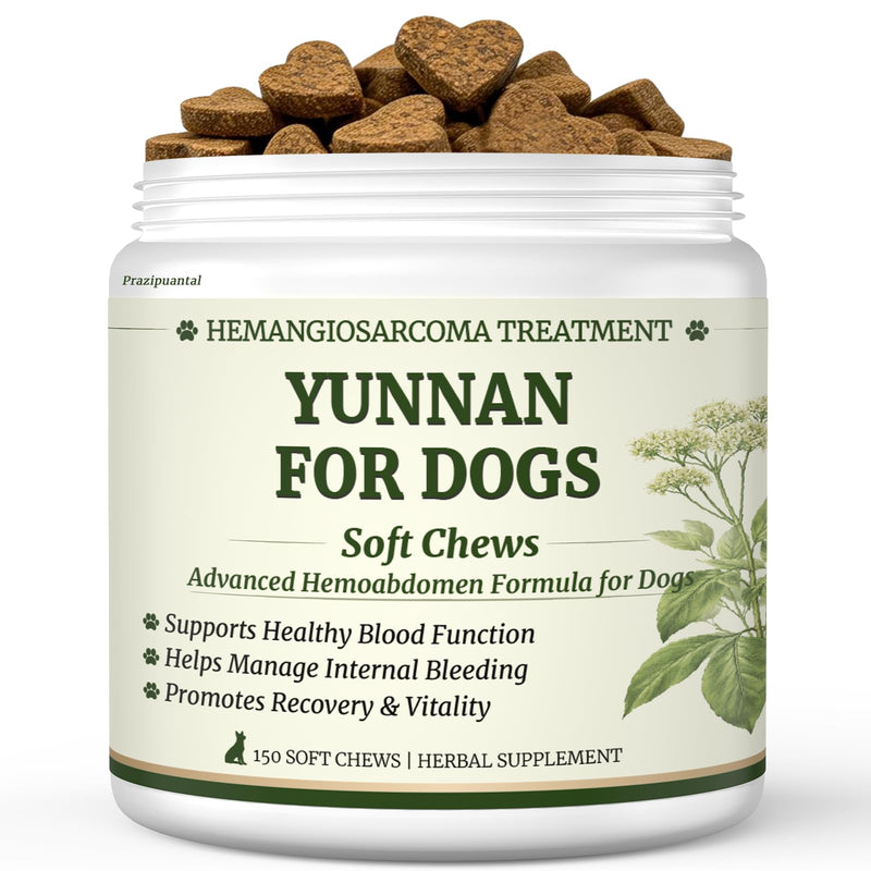 Herbal Yunnan Sanqi Soft Chews for Dogs, Stop Bleeding & Blood Builder for Hemangiosarcoma, Hemoabdomen, Cancer Bleeding, Kidney - Safe Daily Support for Long - Term Care, Boosts Vitality&Energy-150ct