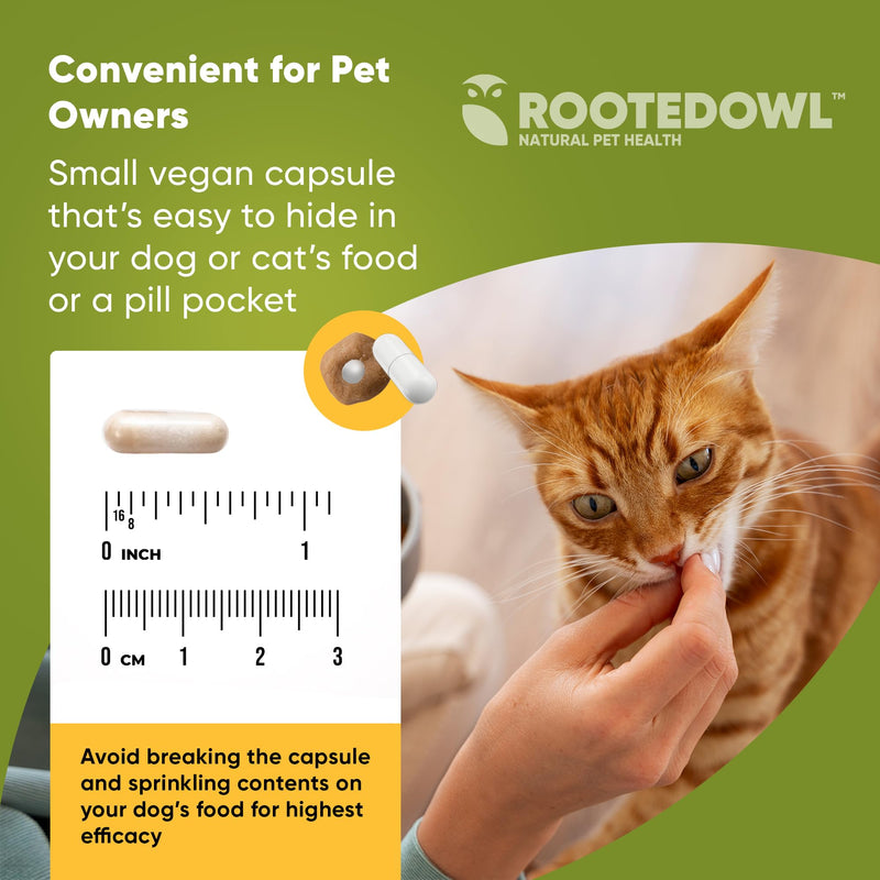 Natural Supplements Joint & Muscle Health Capsules - Hip and Joint Supplements for Cats and Small Dogs with UC-II Type II Collagen and L-Carnitine - 30/ct - PawsPlanet Australia