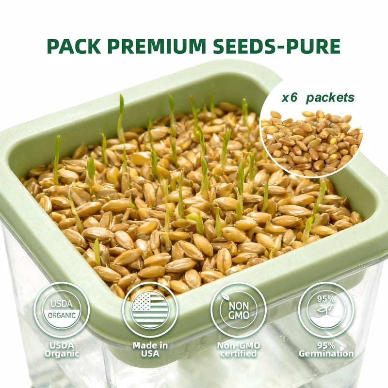 Hydroponic Cat Grass Kit with 6 Pack Non GMO Seeds & Scissors - Cat Grass for Indoor Cats, Helps Cat with Hairballs & Digestion, Easy 3-Step Setup (Food-Safe PP&AS, Plant 3-6 Times)