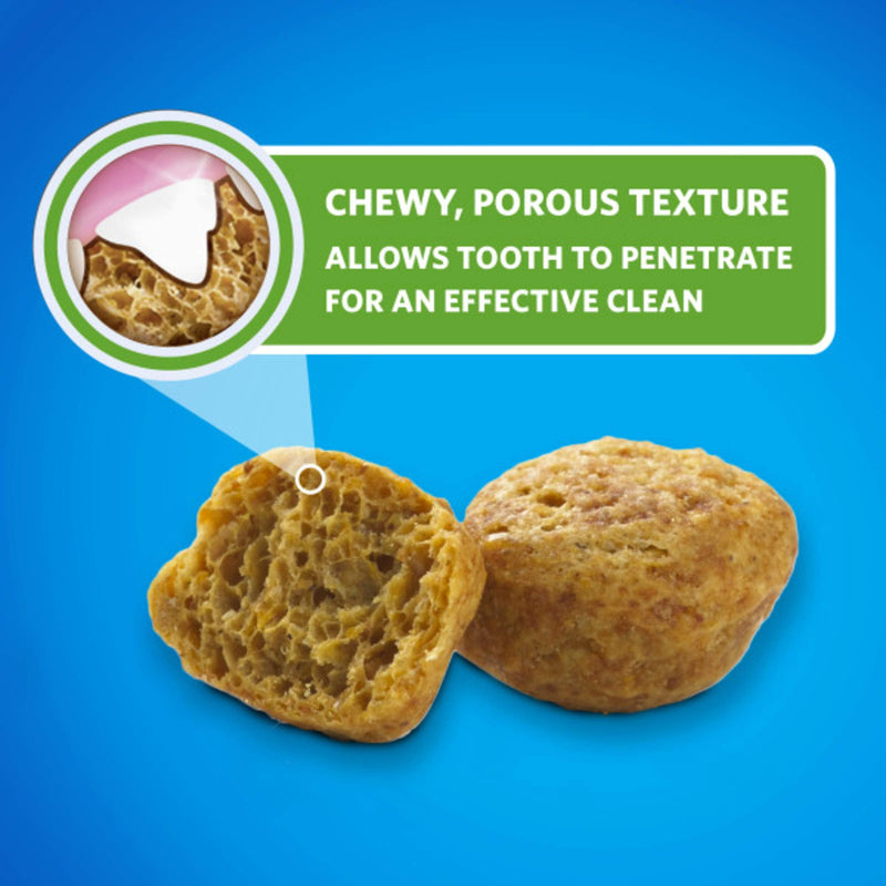 DentaLife Purina Made in USA Facilities Cat Dental Treats, Savory Salmon Flavor - 19 oz. Canister 1.19 Pound (Pack of 1) - PawsPlanet Australia