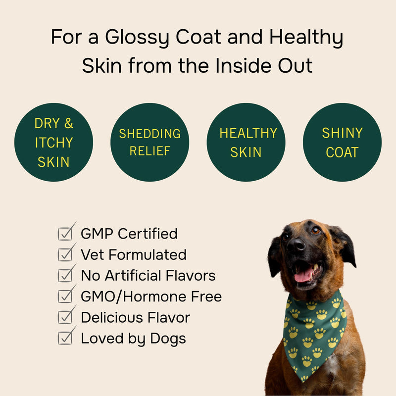 PetMeds Skin & Coat Supplement for Dogs - Fish Oil, Omega 3, Vitamin E, & Biotin for Dry, Itchy Skin & Shedding Relief - Healthy Skin & Shiny Coat - Beef & Sweet Potato Flavor - 60 Soft Chews