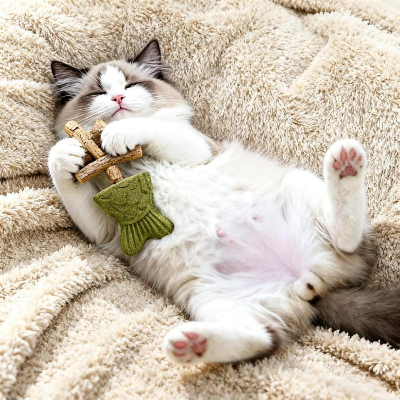 Creative Fish Bone cat Toy, cat Teeth Cleaning, cat Mint Chewing Stick Toy, Scratch Resistance, Three Flavors (Three Pieces)