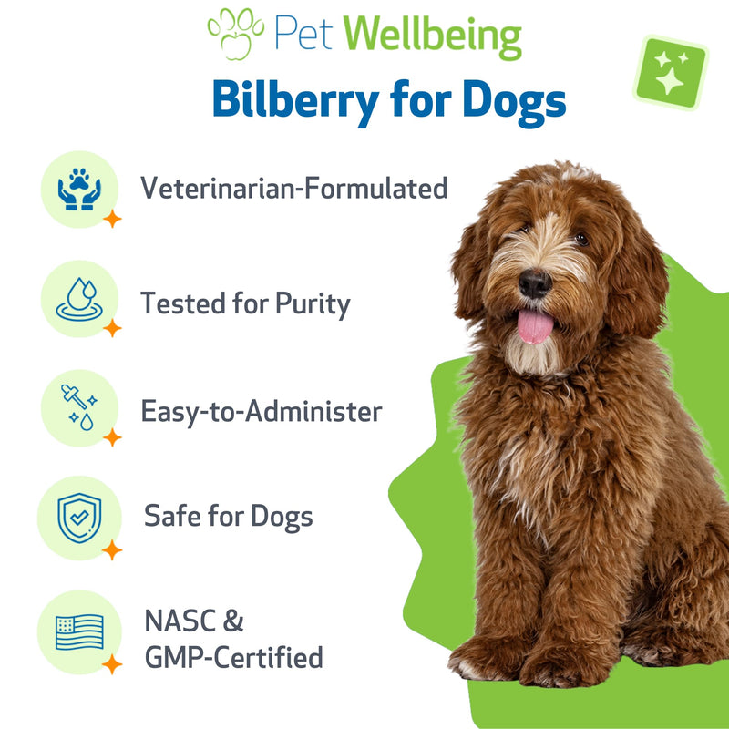 Pet Wellbeing Bilberry for Dogs - Eye & Vision Support with Antioxidants, Capillary Health, Retinal Support - NASC Certified & Vet-Formulated - 2 oz Liquid