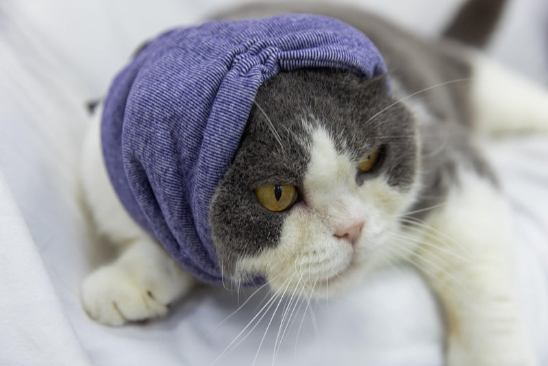 Cat Hematoma Ear Wrap,Noise Cancelling Calming Anxiety & Stress Relief - Ear Cover for cat Purple S Small