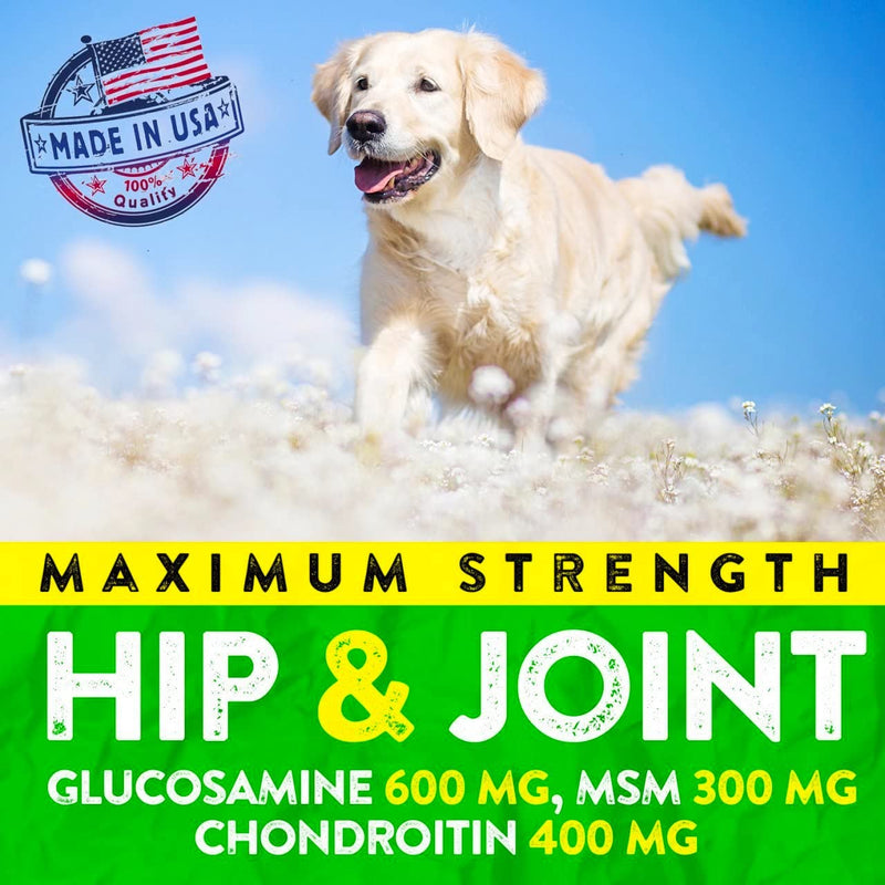 Hemp Hip and Joint Supplement for Dogs - Glucosamine for Dogs - 170 Dog Joint Pain Relief Treats - Chondroitin, Hemp Oil, MSM - Mobility & Flexibility Support - Advanced Care Health - Made in USA 170 Soft Chews
