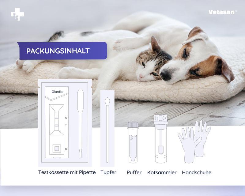 Vetasan 2X Giardia rapid test for dogs and cats I Professional Giardia test reliable & fast I 98.3% accuracy I Giardia test, Giardia test 2 x test - PawsPlanet Australia