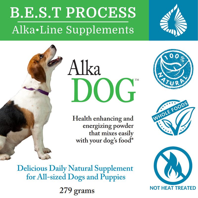 Alka•Dog — Morter HealthSystem Best Process Alkaline — Nutrient Rich Superfood Powder for Dogs with Probiotics, Trace Minerals, Enzymes & Antioxidants Single Container - PawsPlanet Australia