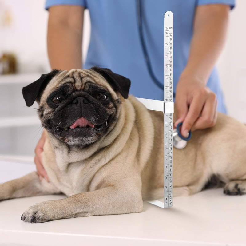 16 Inch/ 40 cm X-Ray Caliper Ruler Stainless Steel X-Ray Body Caliper, Centimeter and Inch Measurements for Body Measurements Quickly Confirm Radiation Dose and Reduce Patient Exposure Time 16 Inch/ 40 cm