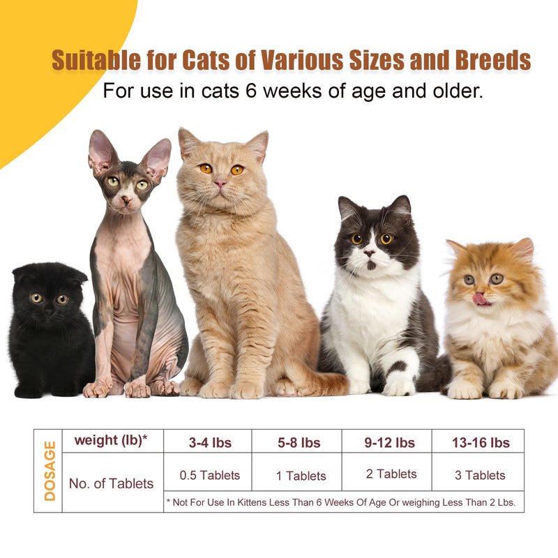 Dewormer for Cats & Kittens, Fenbendazole for Tapeworms, Roundworms & Hookworms - 60 Tablets