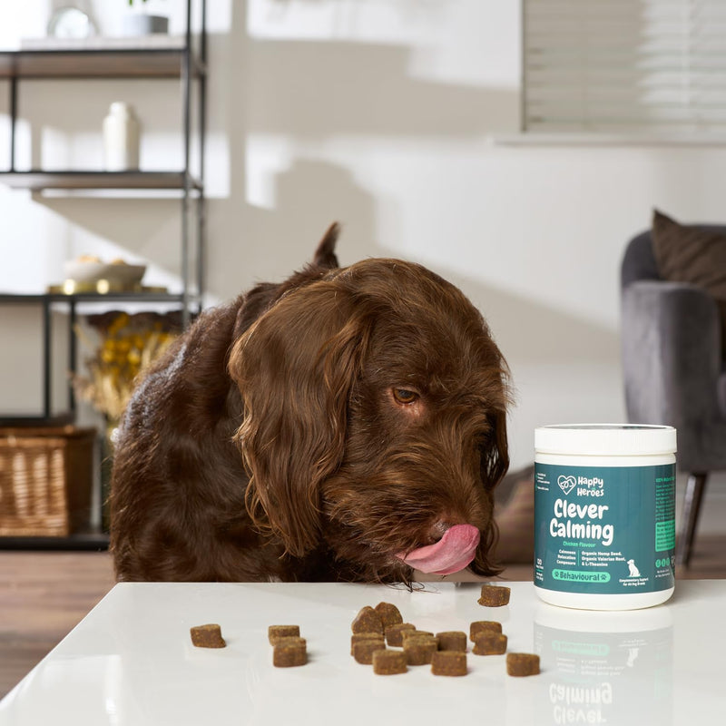 Clever Calming Dog Treats, 100% Natural Supplement, Behavioural Health, Reduces Stress, Fear, Hyperactivity, Aggression, Provides Dog Anxiety Relief & Relaxation - PawsPlanet Australia