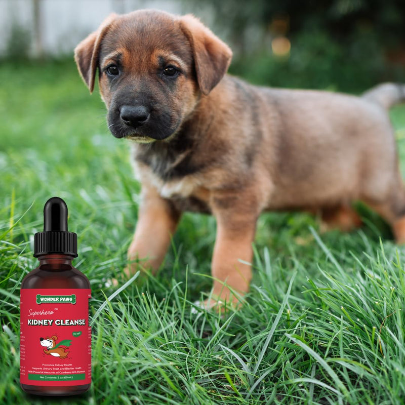 WONDER PAWS Kidney Cleanse Drops Plus Omega Max Fish Oil - for Dog's Skin and Joint Care, Kidney Health & Immune Support – Kidney Cleanse 2 Ounces - Omega Max 16 Ounces