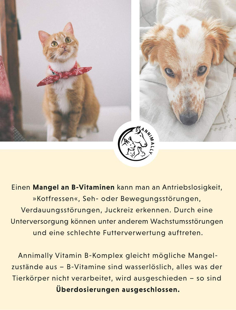 Annimally Vitamin B Complex Dog 120 tablets for up to 4 months I Vitamin B high dosage for dogs and cats with vitamin B1, B2, B3, B5, B6, B9, B12, vitamin K, L-tryptophan and selenium - PawsPlanet Australia