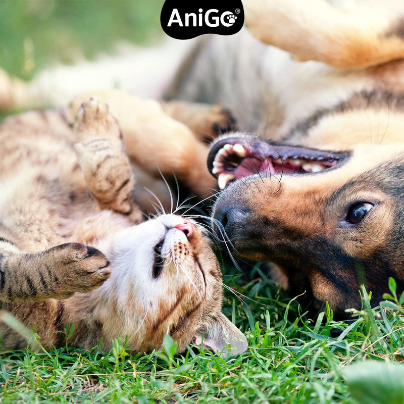 AniGo ear mite oil 50ml immediately effective remedy for cats - against ear mites with chamomile for cats, gentle care for itching in the ear, ear drops for mites, ear cleaner - PawsPlanet Australia