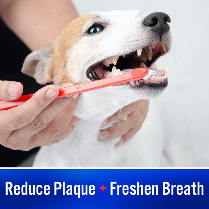 Virbac CET Enzymatic Toothpaste| Eliminates Bad Breath by Removing Plaque and Tartar Buildup | Best Pet Dental Care Toothpaste Vanilla Mint - PawsPlanet Australia