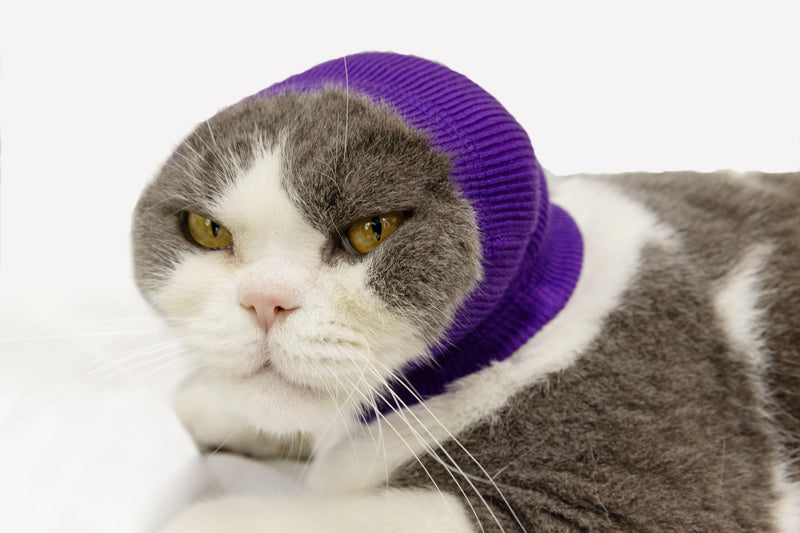 Pet War Flap Head Wrap (2 Pack), No Flap Ear Wrap Cat Small Headband Ears Happy Head Scarf Ear Wrap for Cats Grey+Purple S 1Grey+1Purple - PawsPlanet Australia