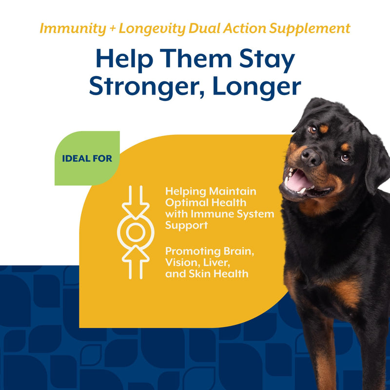 NaturVet Immunity + Longevity Dual Action Supplement for Dogs, Helps Support Immune Response & Cellular Health with NAD+ Precursor, Milk Thistle, Lutein, & Zinc, 60 Hickory Bacon Soft Chews