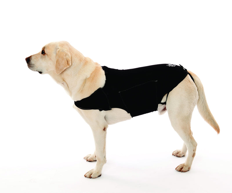 Company of Animals Anxiety Wrap, Black, Toy Sized - PawsPlanet Australia