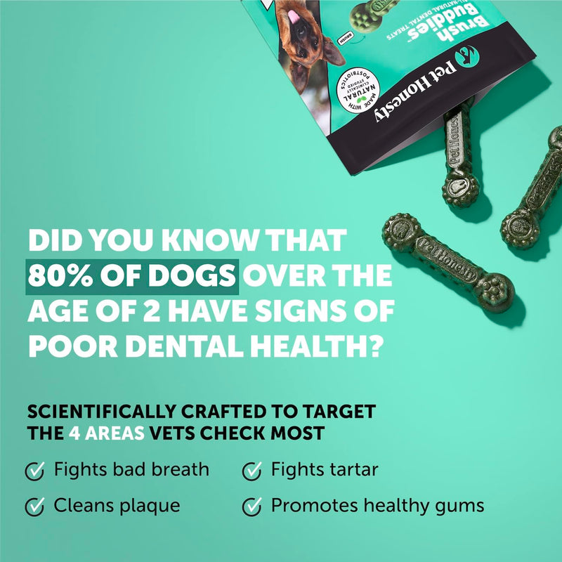Pet Honesty Dog Wellness Virtual Bundle – 10-in-1 Multivitamin Supplement (Peanut Butter, 90 Ct) + Brush Buddies Dental Sticks for Large Dogs (8 Ct) – Daily Health & Dental Support