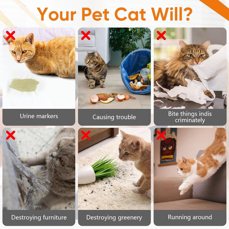 Cat Deterrent Spray 2 Pack, Natural Non-Toxic Plant Based Anti-Scratch & Anti-Marking Spray for Cats & Kittens, Orange Scent Pet Training Aid, Safe for Pets, Indoor Outdoor Furniture, Protector 7.0 Oz
