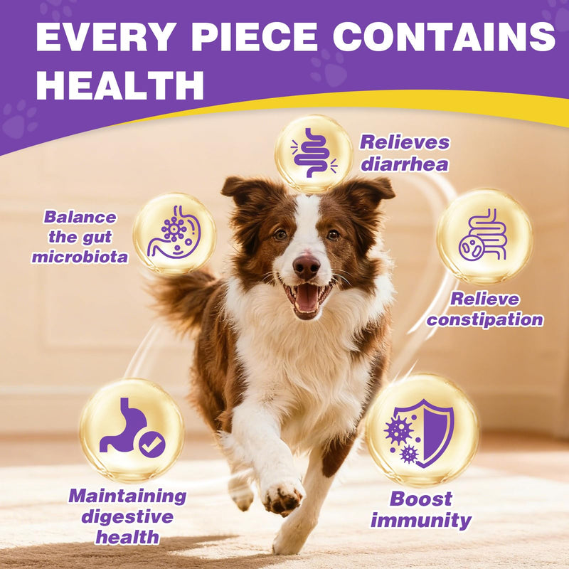 Probiotics for Dogs Dog Probiotics for Digestive Health Gut Health for Dogs Probiotic Dog Chews Probiotics for Dogs Immune Support Chicken Flavor 50ct
