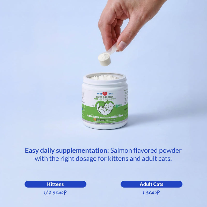 Liver and Kidney Soft Chews for Dogs & Liver and Kidney Support Powder for Cats
