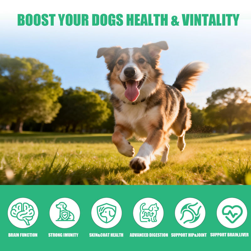 Dog Vitamins and Supplements, 16 in 1 Multivitamins Essential Dog Vitamin Minerals Chewable with Omega-3 Fish Oil Glucosamine Probiotics for Pet Hip Joint Coat Skin Digestion Health, 120 Chews