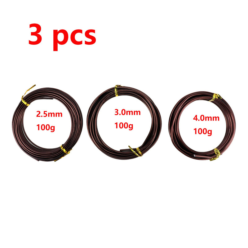 Antrader Bonsai Training Wire Set,Anodized Aluminum Wire 2.5mm/3.0mm/4.0mm Training Wire for Bonsai Trees,3 Sizes/100g,Brown 2.5mm,3.0mm,4.0mm Brown 3