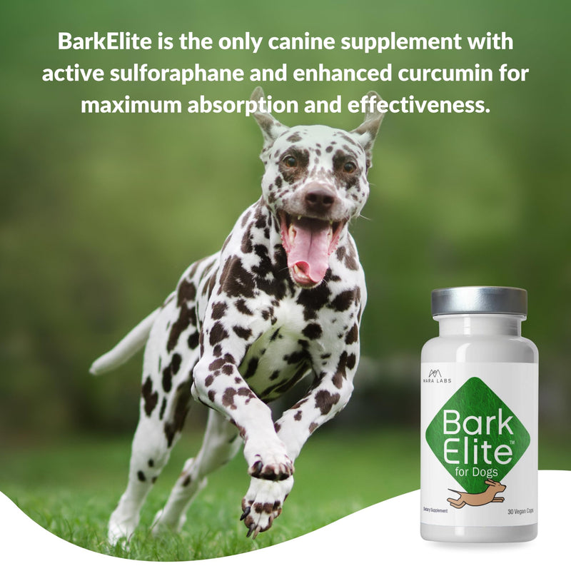 Mara Labs BarkElite for Dogs | Stabilized Sulforaphane & Bio-Enhanced Curcumin 50/50 Blend | Veterinarian Formulated | Supports Joint Mobility, Enhanced Energy and General Well-Being | 30 Capsules