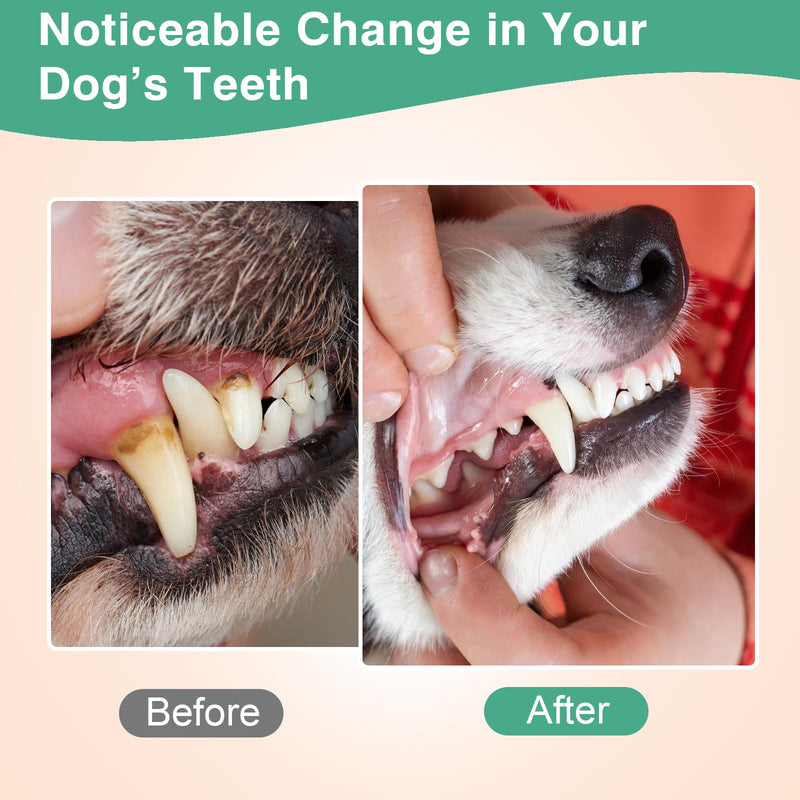 Dog Teeth Cleaning Powder 100g Fights Plaque & Tartar Freshens Breath All-Natural Ingredients for Dogs of All Breeds and Ages Easy to Use Dog Dental Powder