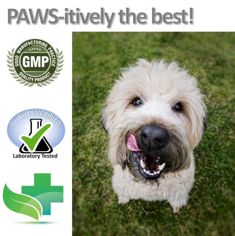 Vet Worthy Anti-Diarrhea for Dogs (8 oz) - PawsPlanet Australia