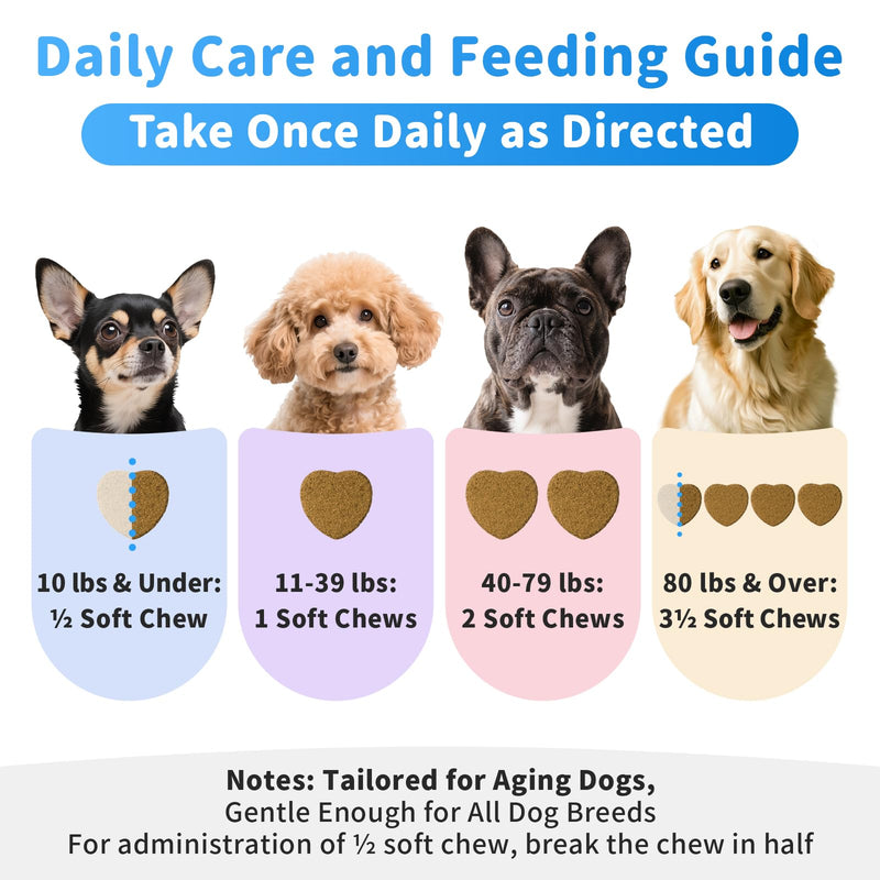 Senior Dog Liver & Joint Supplement – Same, Milk Thistle (Silybin), Glucosamine, MSM for Liver Health Detox, Mobility, Joint Pain Relief, Cognitive & Vitality Support, Chicken Flavor, 90Ct 90 Count (Pack of 1)