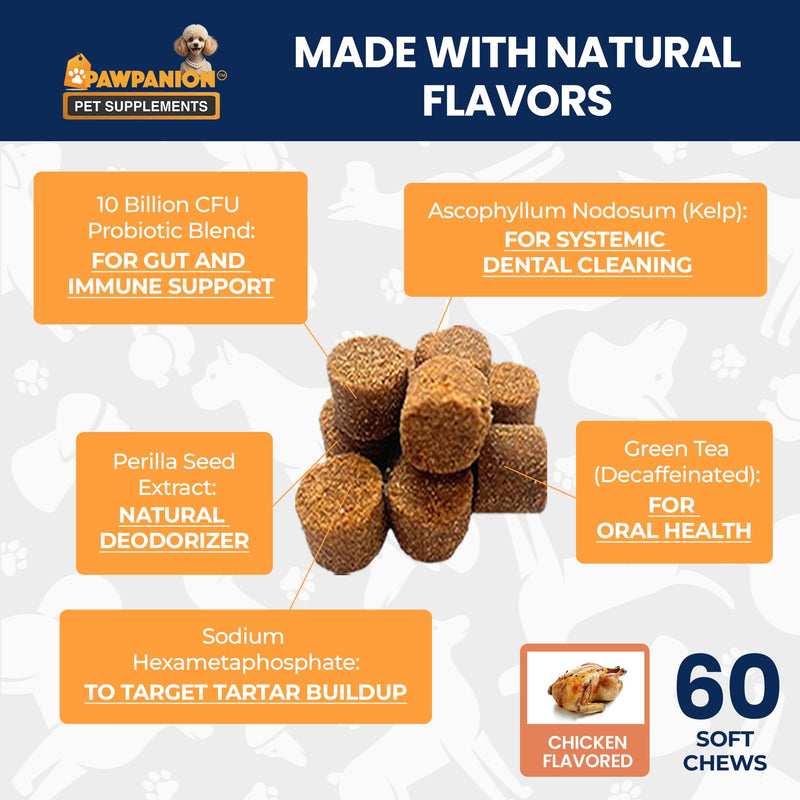 Dental Soft Chews for Dogs, Oral Health & Fresh Breath Support, Probiotics + Seaweed + Zinc, Helps Reduce Plaque & Tartar, 60 Soft Chews Chicken Flavor Dental