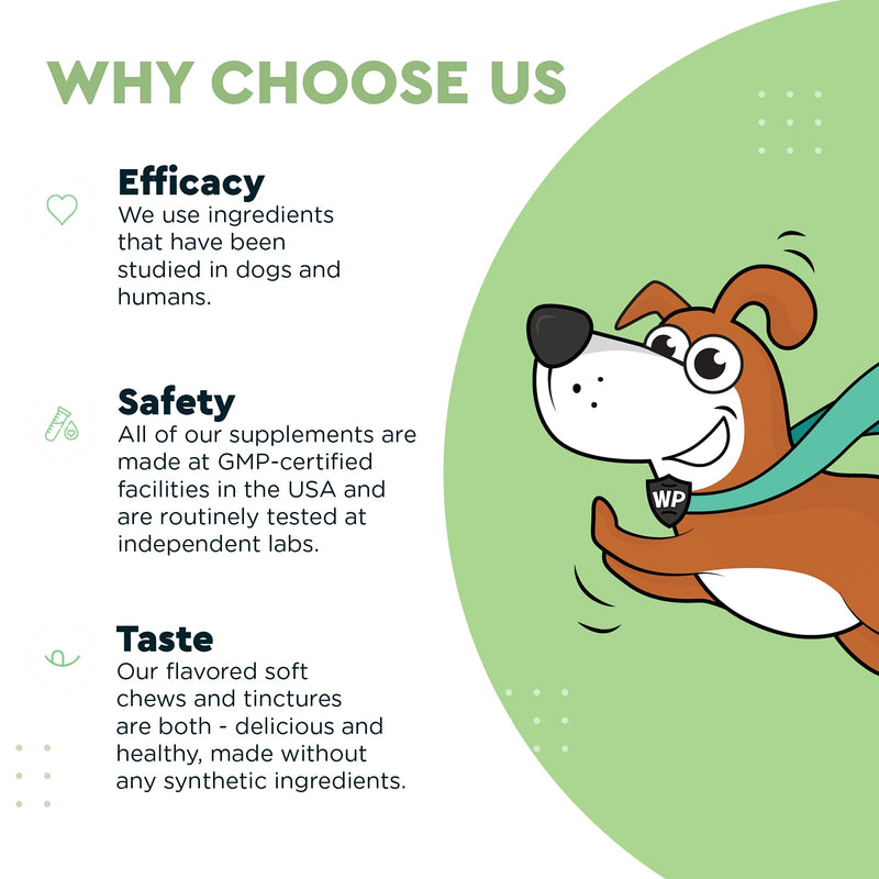 WONDER PAWS Milk Thistle for Dogs, Liver Support for Dogs, Supports Kidney Function for Pets, Detox, Hepatic Support, with Wild Alaskan Salmon Oil & Curcumin, Omega 3 EPA & DHA - 2 oz Pet Supplement - PawsPlanet Australia