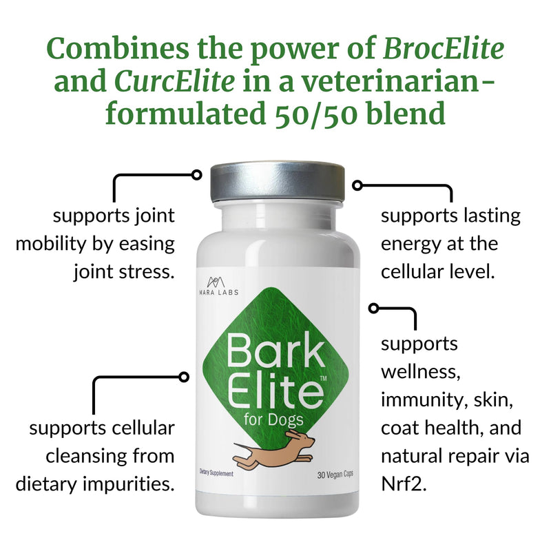 Mara Labs BarkElite for Dogs | Stabilized Sulforaphane & Bio-Enhanced Curcumin 50/50 Blend | Veterinarian Formulated | Supports Joint Mobility, Enhanced Energy and General Well-Being | 30 Capsules