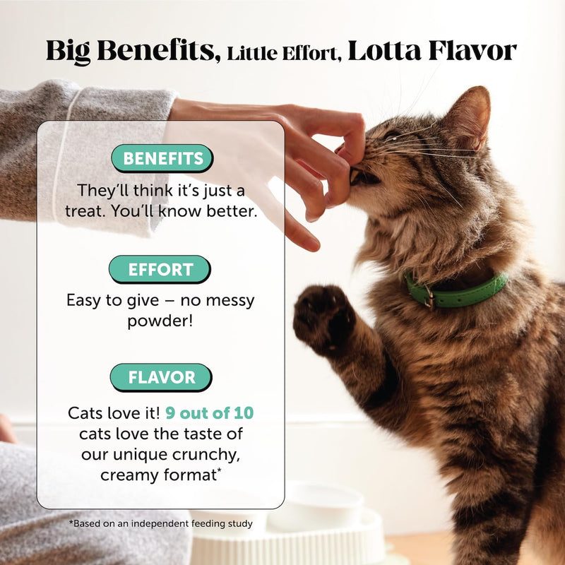 Fresh Breath Dental Bites for Cats – Crunchy & Creamy Cat Dental Treats for Fresh Breath, Tartar & Plaque Control – Dual-Texture Cat Oral Care Bites for Bright Teeth & Healthy Gums – 30 Day Supply 30-Day Supply